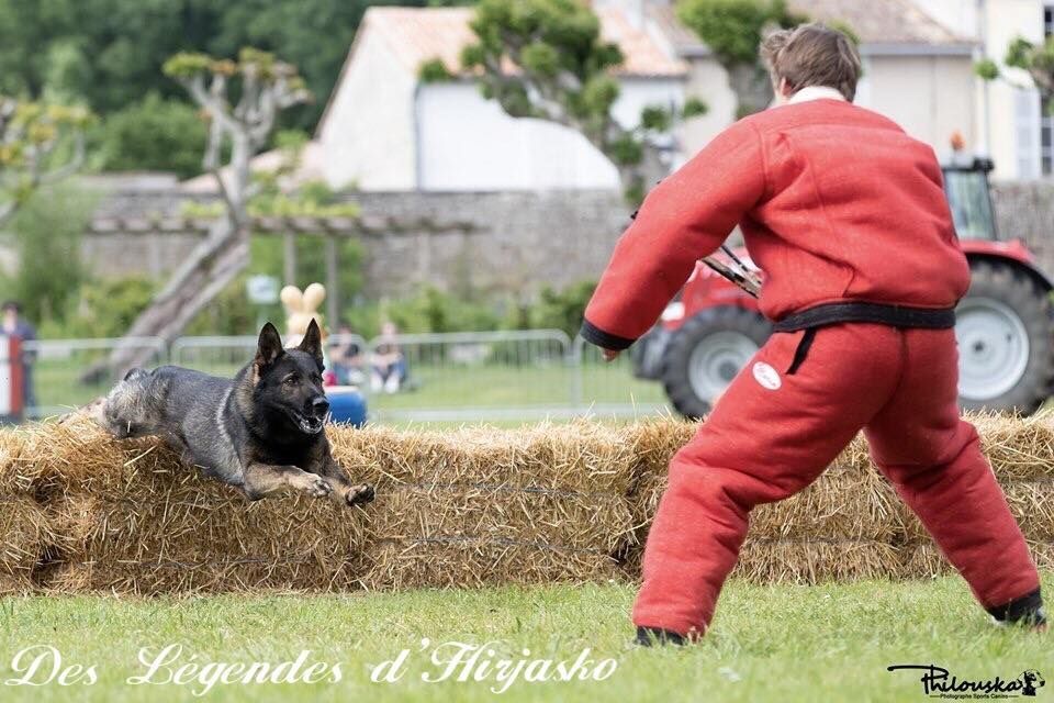 Des Legendes D'Hirjasko - Championnat de France Mondioring 2019