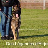 CH. Nyx Des Legendes D'Hirjasko