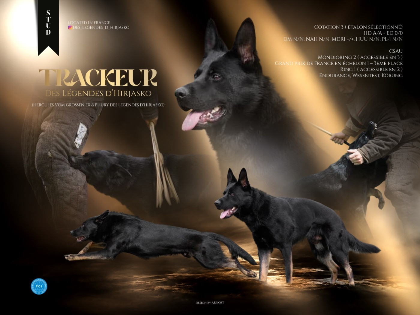 Trackeur Des Legendes D'Hirjasko